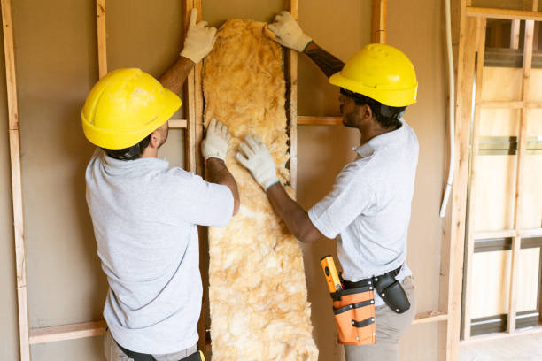 Insulation Air Sealing in Brandermill, VA